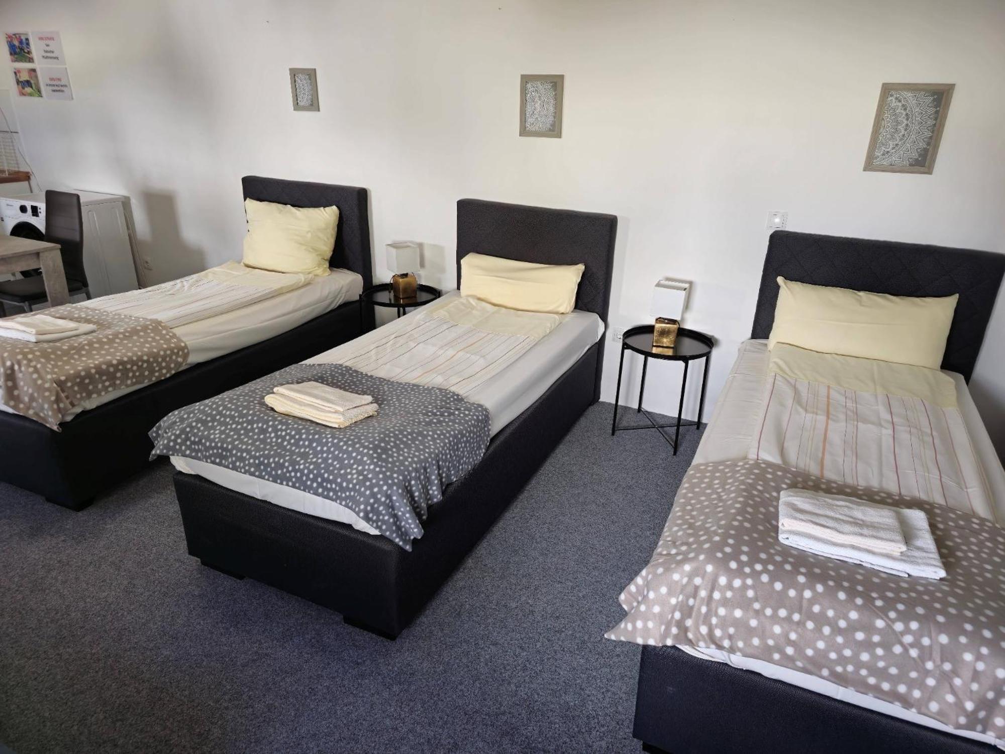 Apartment Zentrale - Optimal Fuer Kurz- Oder Langzeitaufenthalte